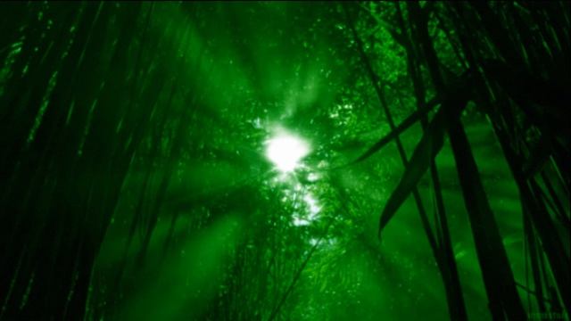 Грассмейстер — Там, Где Солнечный Свет смотреть онлайн