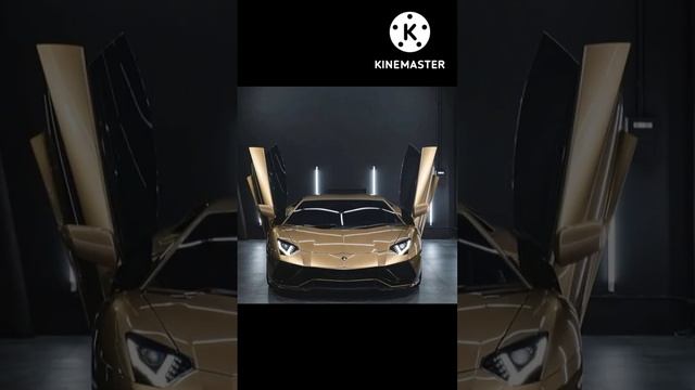 Lamborghini 😱😱 beautiful ❤️ pictures #shorts # video # смотреть онлайн
