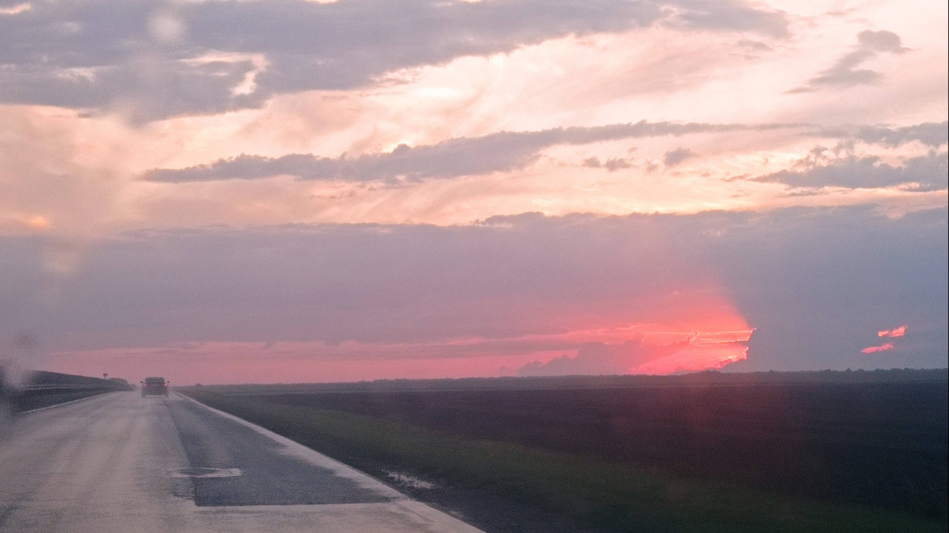 Сено для нутрии. Какое они больше предпочитают.