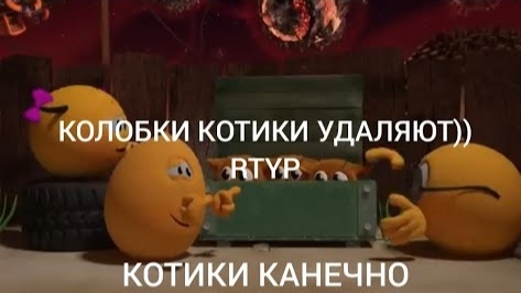 КОЛОБКИ КОТИКИ УДАЛЯЮТ)) | RTYP | БАРСУЧИЙ12К (перезалив) смотреть онлайн
