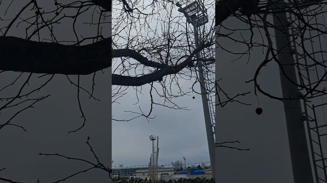 Адлер. Самолёты над головой .. смотреть онлайн