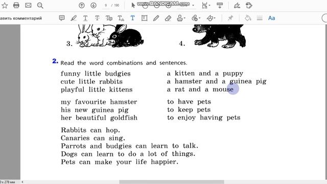 Unit 4, Step 2, Ex. 2 / ГДЗ. 5 класс. Учебник Rainbow English. 2 часть смотреть онлайн