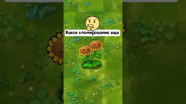 миниатюра №47 - растения против зомби #пвз #pvz #shorts смотреть онлайн