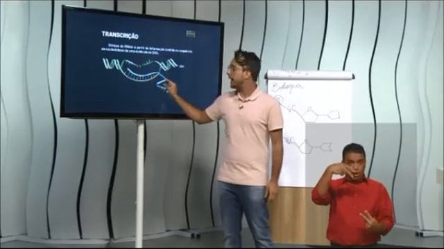 01/10/2020 - EM - (VÍDEO COMPACTADO) смотреть онлайн