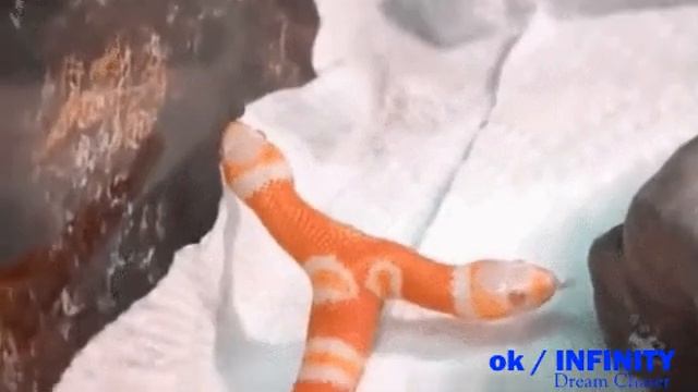 Горыныч в детстве смотреть онлайн