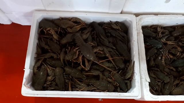 Рынок морепродуктов. Стамбул смотреть онлайн