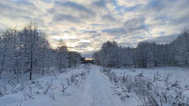Солнечный день в заснеженном лесу. ч.5. Январь 2025 смотреть онлайн