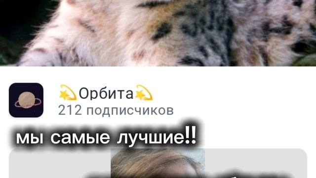 аоаооаоаоао, спасибо вам за 212 подписчиков!! ааооаоао | 💫Орбита💫 смотреть онлайн