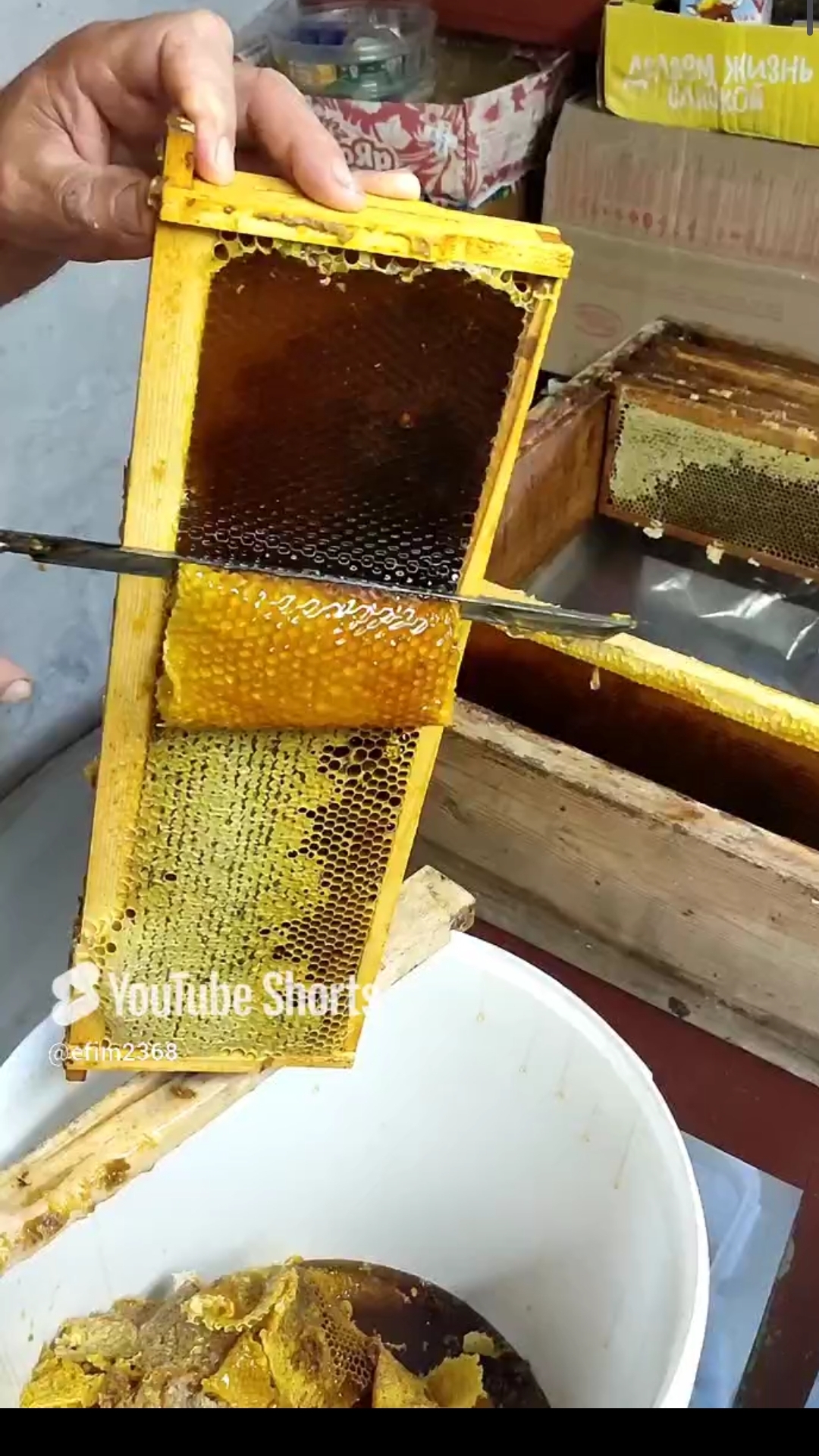 Пасечный НОЖ (Смычок) смотреть онлайн