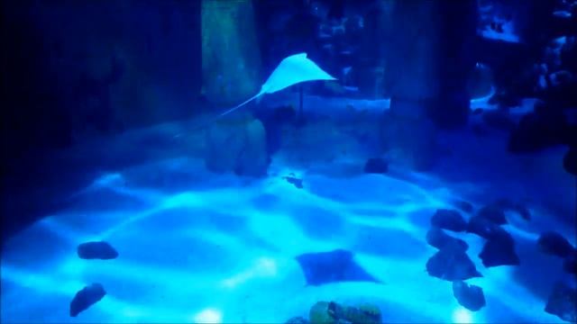 LEGOLAND Deutschland Resort 2017 Teil 3 Atlantis смотреть онлайн