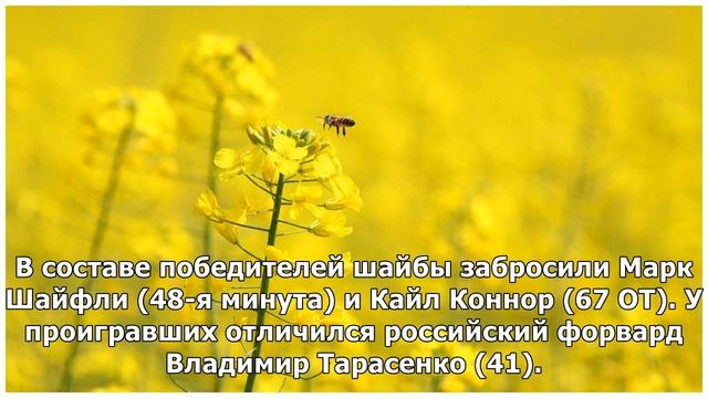 Шайба Тарасенко не помешала "Виннипегу" сравнять счет в серии плей-офф НХЛ с "Сент-Луисом" смотреть онлайн
