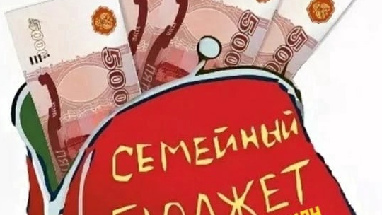 Распределение бюджета по конвертам. смотреть онлайн