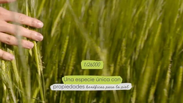 A-DERMA | Cuidados dermatológicos de origen vegetal смотреть онлайн