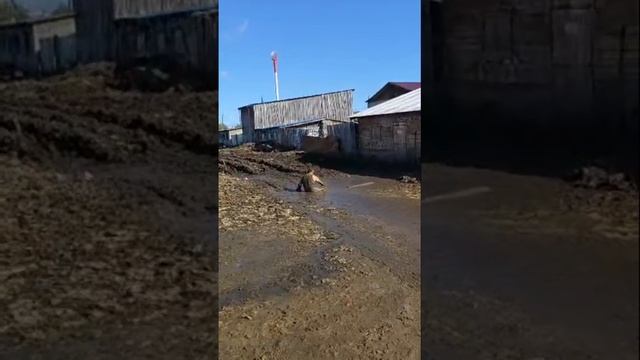 Типичный день на Байкале 😂