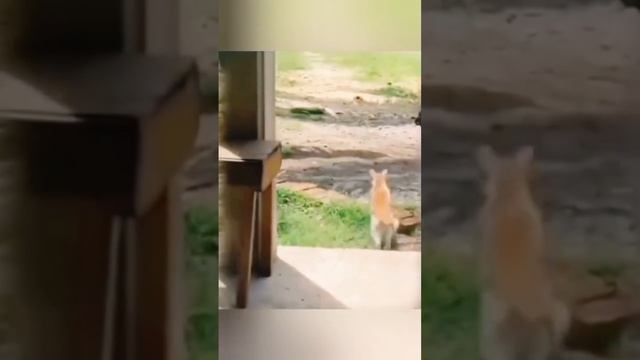 Подборка приколов