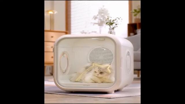 Pet Dryer Xiaomi Homerun смотреть онлайн