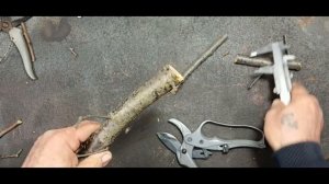 Секатор. Секатор с храповым механизмом. Какой секатор лучше?
