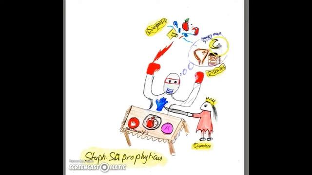 Staph saprophyticus - Symbolic Mindmapping (DR SMART) смотреть онлайн