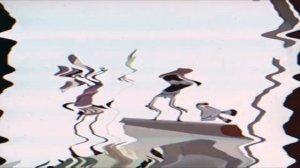 вырезанная сцена из Куми куми 2013.