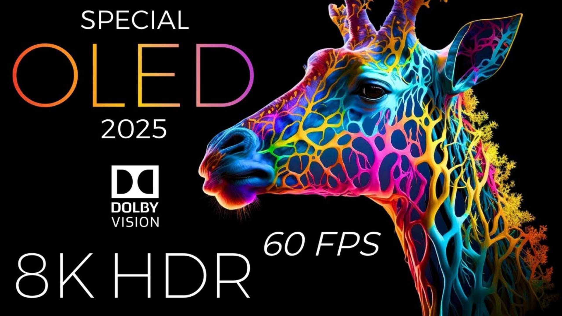 Специальная демонстрация OLED 2025 HDR 8K Ultra HD Dolby Vision™ 60 кадров в секунду