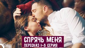 Спрячь меня. 1-8 серия. Пересказ