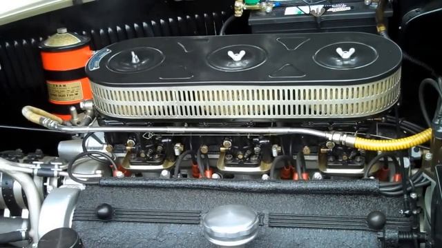 Ferrari Ellena Up Close смотреть онлайн