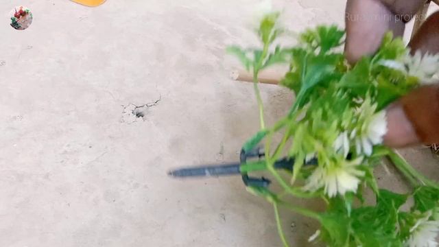 Diy how to make cow shed | house of animals | mini diesel engine water pump смотреть онлайн