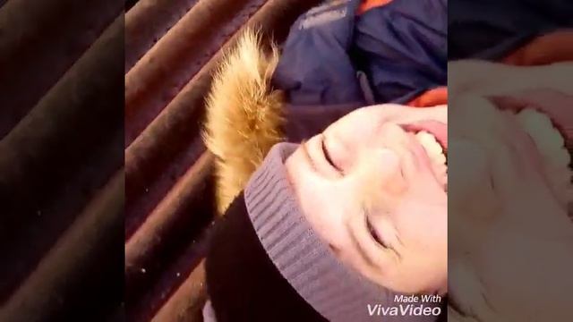 Видео от mini star смотреть онлайн