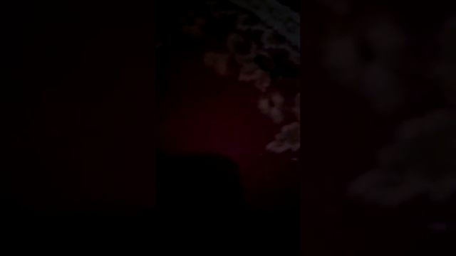 Наши покупки из магазина смотреть онлайн
