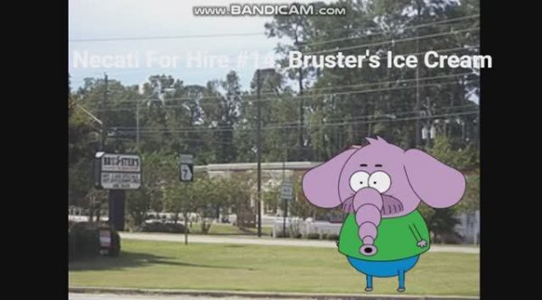 Necati For Hire #14: Bruster's Ice Cream