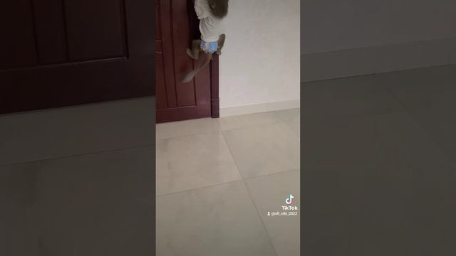 Никуша соскучилась по своей комнате 😁 смотреть онлайн