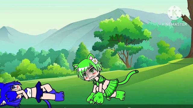 UwU Cat's Vs UwU Cat's кто победит?