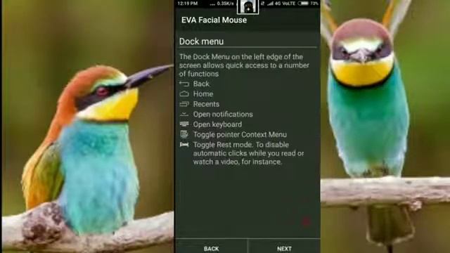 Control Your Mobile phone with your face & How to Control your smart phone with face technical tip смотреть онлайн