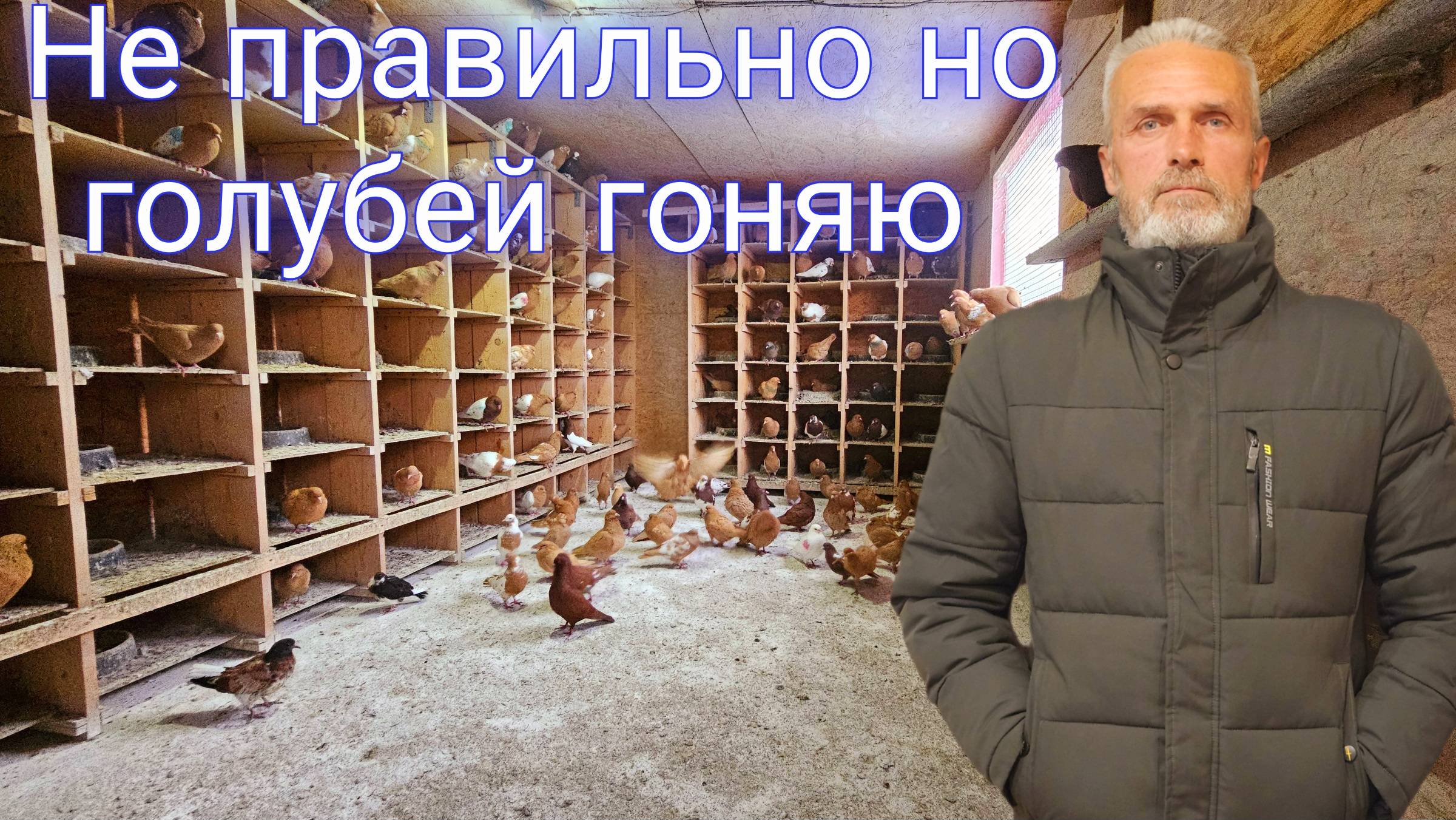 Не правильно но голубей гоняю смотреть онлайн