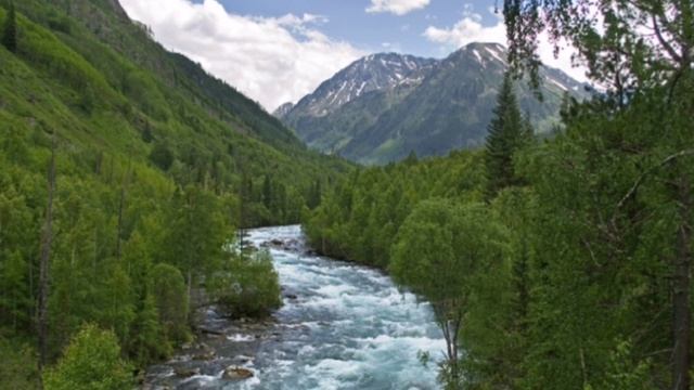 11 января - День заповедников и национальных парков России смотреть онлайн