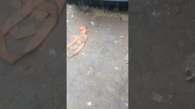 Развлечения Авторазборщика авто в утиль смотреть онлайн