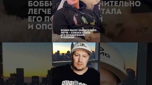 50 БЕЗДОМНЫХ СОБАК СПАСЛИ ЖИЗНЬ БОДИБИЛДЕРУ #maksmsk смотреть онлайн