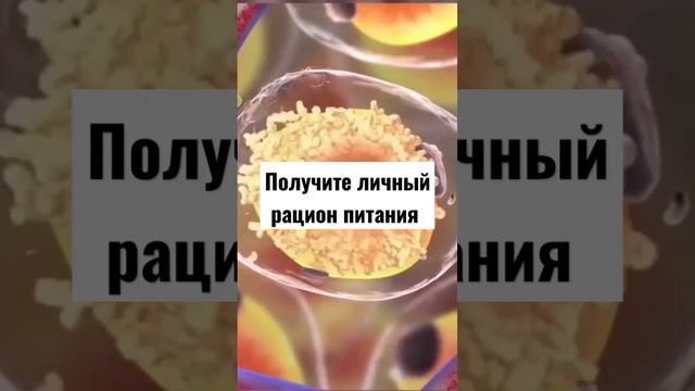 Диета для похудения живота, боков и талии #shorts #short смотреть онлайн