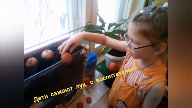 2 Расказ о луковице и ее волшебных свойствах Воспитатель Волынова Ирина Александровна смотреть онлайн