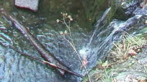 (ретро) КРАВЦОВСКИЕ ВОДОПАДЫ