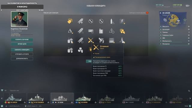 Обзор Эсминца Grom