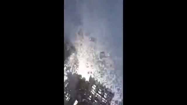 Аква парк в Абу даби!!! смотреть онлайн