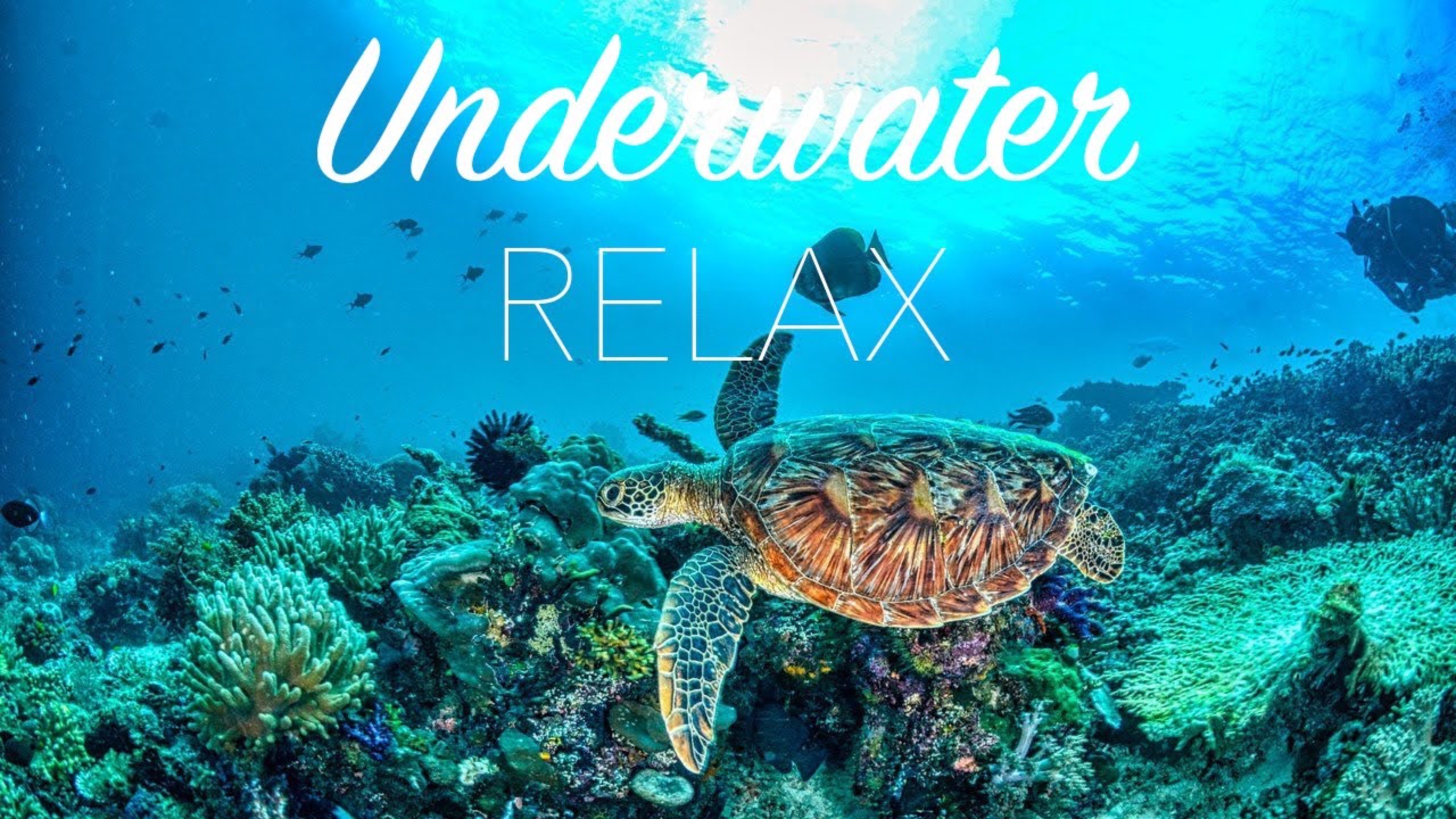 Beautiful Underwater Rainbow Coral Reef Deep Relaxation and Body Mind Restoration, Calm Piano Music