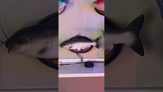 поющие рыбы смотреть онлайн