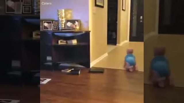 🐶Вот почему собаки лучшие друзья🐕🐶 смотреть онлайн