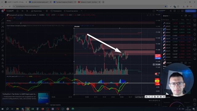 ИНДИКАТОР Smart Money Concepts [LuxAlgo] для бинарных опционов. Обучение трейдингу от А до Я смотреть онлайн