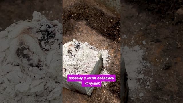 СЕРНАЯ ШАШКА ДЛЯ ДЕЗИНФЕКЦИИ смотреть онлайн