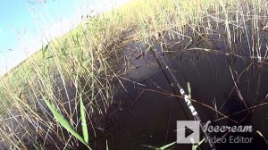 Ловля КАРПА в Камыше ВЗАБРОДКУ