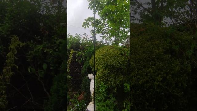 Miracle Antenna testing with (tr)uSDX смотреть онлайн