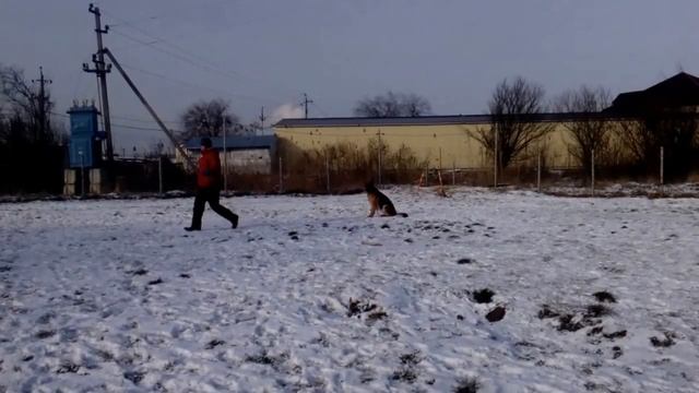 Бэха 1 смотреть онлайн